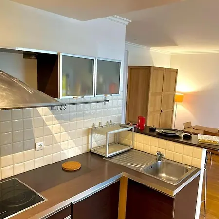 Champs Elysees-belle Terrasse, Luxueux Apartment *