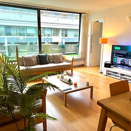 Champs Elysees-belle Terrasse, Luxueux Apartment *